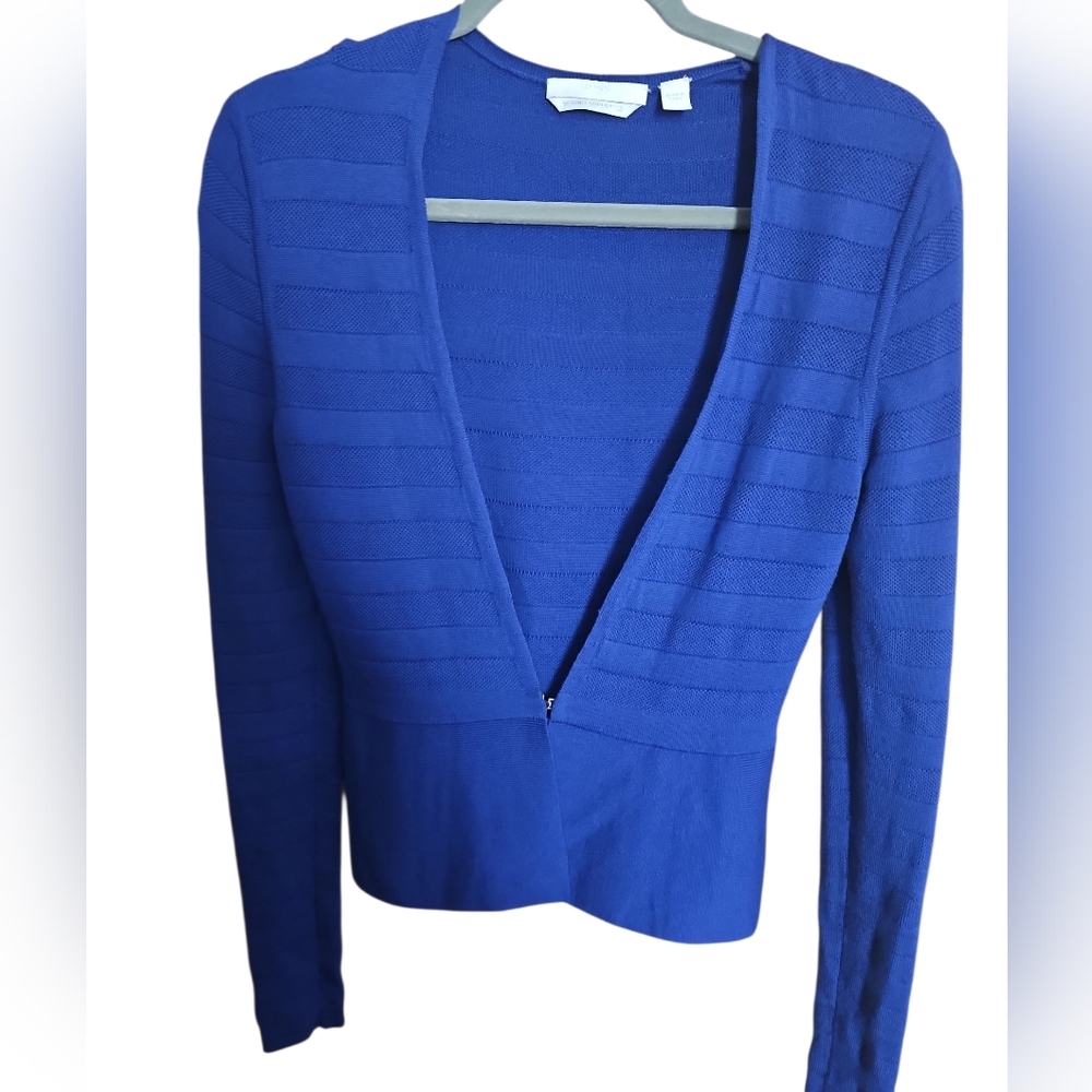 Boss Royal Blue V-Neck Sweater
